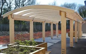 Curved timber structure